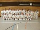 Ditzingen 2008
