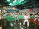 Mitsuya-Kai Summit Palermo 2009