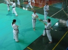 Mitsuya-Kai Summit Palermo 2009
