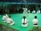 Mitsuya-Kai Summit Palermo 2009