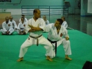 Mitsuya-Kai Summit Palermo 2009