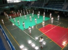Mitsuya-Kai Summit Palermo 2009