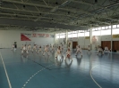 Hungary 2010