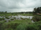 Cochin 2010