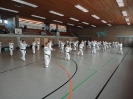 Ludwigsburg-Stuttgart  2010