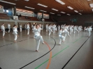 Ludwigsburg-Stuttgart  2010