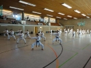 Ludwigsburg-Stuttgart  2010