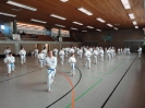 Ludwigsburg-Stuttgart  2010