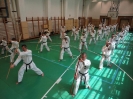 Gasshuku - Hungary 2011