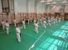 Gasshuku - Hungary 2011