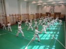 Gasshuku - Hungary 2011