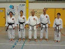 Hotton 2011