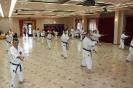 Mitsuya-Kai Summit 2012