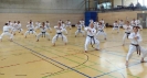 Spring Camp 2013