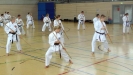 Spring Camp 2013
