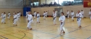Spring Camp 2013
