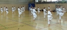 Spring Camp 2013
