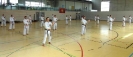 Spring Camp 2013