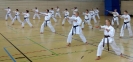 Spring Camp 2013