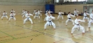 Spring Camp 2013