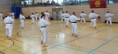 Spring Camp 2013