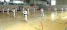 Spring Camp 2013