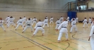 Spring Camp 2013