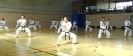 Spring Camp 2013