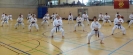 Spring Camp 2013