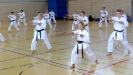 Spring Camp 2013