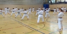 Spring Camp 2013