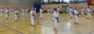 Spring Camp 2013