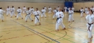 Spring Camp 2013