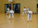  Ludwigsburg 2013