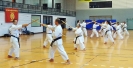  Ludwigsburg 2013