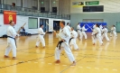  Ludwigsburg 2013