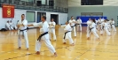  Ludwigsburg 2013