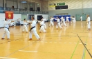  Ludwigsburg 2013