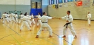  Ludwigsburg 2013