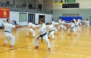  Ludwigsburg 2013