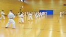 Ludwigsburg 2013