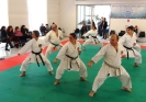 Montalto di Castro 2013