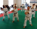 Montalto di Castro 2013