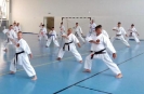 Hungary 2013