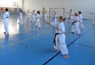 Hungary 2013