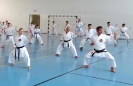 Hungary 2013