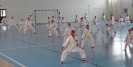 Hungary 2013