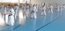 Hungary 2013
