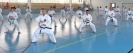 Hungary 2013
