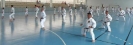 Hungary 2013